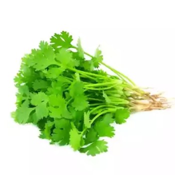 সুগন্ধি ধনিয়া পাতা - ১০০ গ্রাম  (Fresh Coriander Leaves / Dhania Patta) 