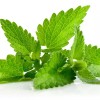 সুগন্ধি পুদিনা পাতা - ১০০ গ্রাম (Fresh & Aromatic Mint Leaves)
