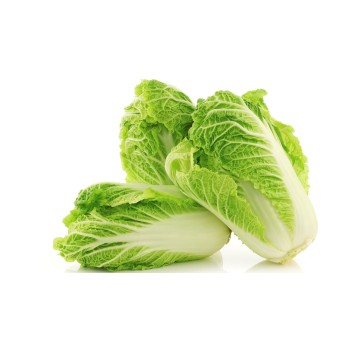 চাইনিস ক্যাবেজ - ৫০০ গ্রাম (Premium Chinese Cabbage/Napa Cabbage) 