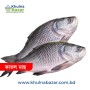 তাজা বড় কাতল মাছ - ১ কেজি (৬-১০ কেজি সাইজ)