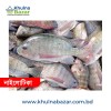 ফ্রেশ নাইলোটিকা মাছ (৩-৫ পিস কেজি) - Fresh Nilotica Fish
