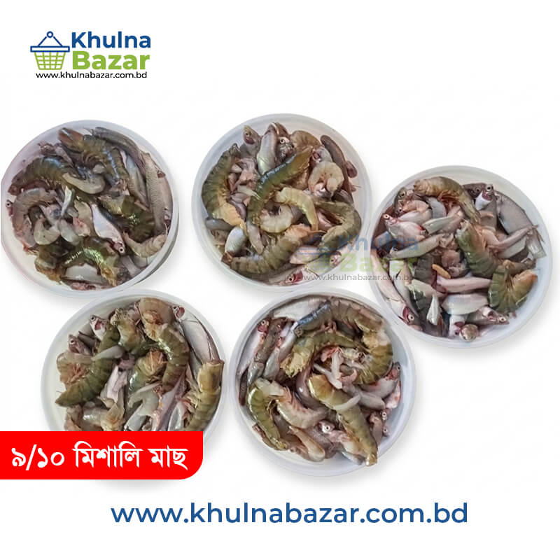 ১০ মিশালি ছোট মাছের প্যাকেজ (10 Mixed Small Fish Package) - Khulna Bazar