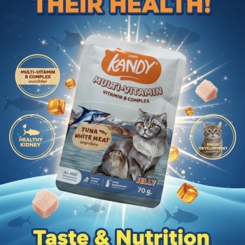 Kandy Multi-Vitamin Pouch - Tuna & White Meat In Jelly (70g)