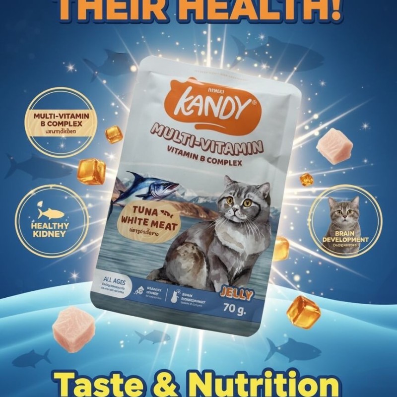 Kandy Multi-Vitamin Pouch - Tuna & White Meat In Jelly (70g)