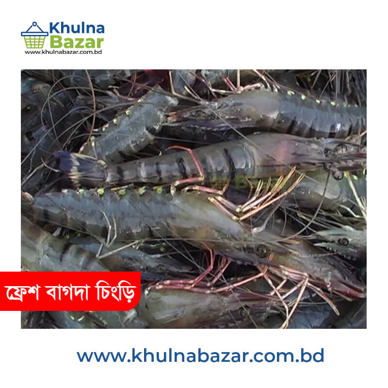 ১০০% অর্গানিক বাগদা চিংড়ি - ( ৪৫+ পিচে কেজি ) - ৫০০ গ্রাম