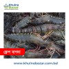 ১০০% অর্গানিক ফ্রেশ বাগদা চিংড়ি (৩৫/৪২ পিস কেজি) - ৫০০ গ্রাম