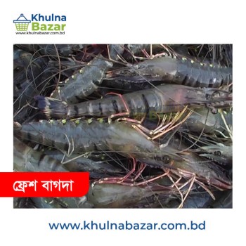 ১০০% অর্গানিক ফ্রেশ বাগদা চিংড়ি (৩৫/৪২ পিস কেজি) - ৫০০ গ্রাম