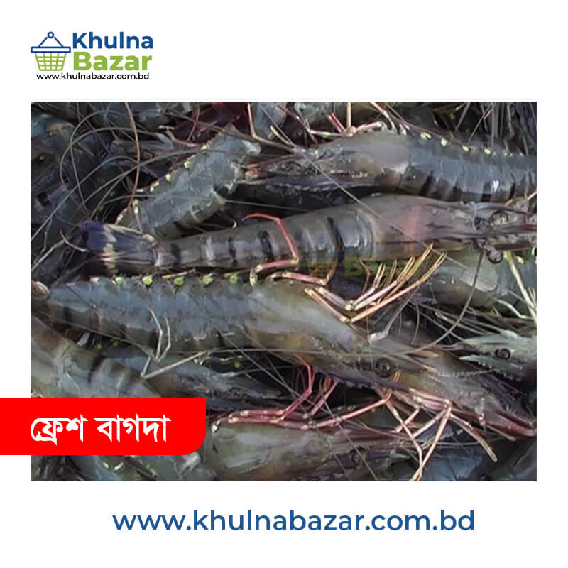 ১০০% অর্গানিক ফ্রেশ বাগদা চিংড়ি (৩৫/৪২ পিস কেজি) - ৫০০ গ্রাম