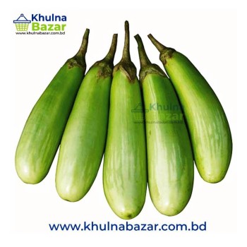প্রিমিয়াম লম্বা সবুজ বেগুন (Fresh Green Long Brinjal) - ১ কেজি - Khulnabazar